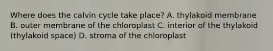 Where does the calvin cycle take place? A. thylakoid membrane B. outer membrane of the chloroplast C. interior of the thylakoid (thylakoid space) D. stroma of the chloroplast