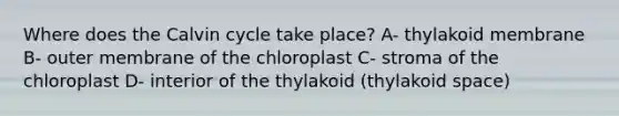 Where does the Calvin cycle take place? A- thylakoid membrane B- outer membrane of the chloroplast C- stroma of the chloroplast D- interior of the thylakoid (thylakoid space)