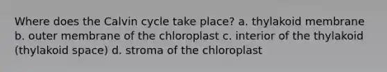 Where does the Calvin cycle take place? a. thylakoid membrane b. outer membrane of the chloroplast c. interior of the thylakoid (thylakoid space) d. stroma of the chloroplast