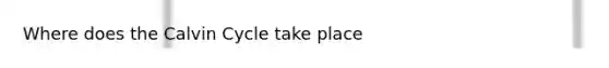 Where does the Calvin Cycle take place