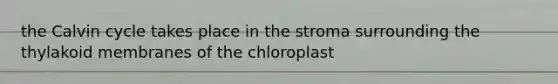 the Calvin cycle takes place in the stroma surrounding the thylakoid membranes of the chloroplast