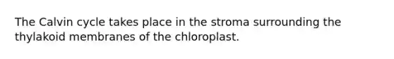 The Calvin cycle takes place in the stroma surrounding the thylakoid membranes of the chloroplast.