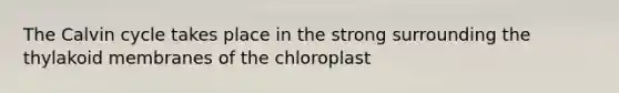 The Calvin cycle takes place in the strong surrounding the thylakoid membranes of the chloroplast