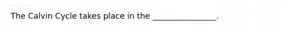 The Calvin Cycle takes place in the ________________.