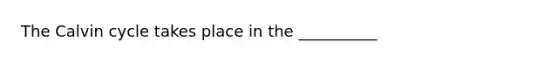 The Calvin cycle takes place in the __________