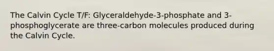 The Calvin Cycle T/F: Glyceraldehyde-3-phosphate and 3-phosphoglycerate are three-carbon molecules produced during the Calvin Cycle.