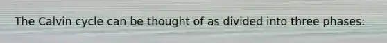 The Calvin cycle can be thought of as divided into three phases: