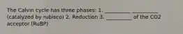 The Calvin cycle has three phases: 1. __________ __________ (catalyzed by rubisco) 2. Reduction 3. __________ of the CO2 acceptor (RuBP)