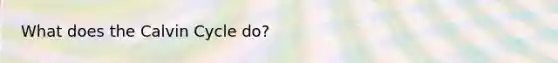 What does the Calvin Cycle do?