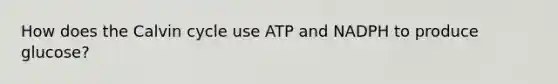 How does the Calvin cycle use ATP and NADPH to produce glucose?