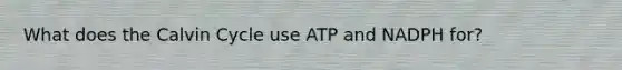 What does the Calvin Cycle use ATP and NADPH for?