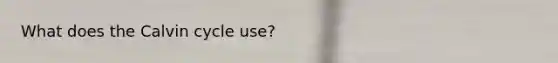 What does the Calvin cycle use?