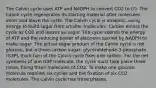 The Calvin cycle uses ATP and NADPH to convert CO2 to (?). The Calvin cycle regenerates its starting material after molecules enter and leave the cycle. The Calvin cycle is anabolic, using energy to build sugar from smaller molecules. Carbon enters the cycle as CO2 and leaves as sugar. The cycle spends the energy of ATP and the reducing power of electrons carried by NADPH to make sugar. The actual sugar product of the Calvin cycle is not glucose, but a three-carbon sugar, glyceraldehyde-3-phosphate (G3P). Each turn of the Calvin cycle fixes one carbon. For the net synthesis of one G3P molecule, the cycle must take place three times, fixing three molecules of CO2. To make one glucose molecule requires six cycles and the fixation of six CO2 molecules. The Calvin cycle has three phases.