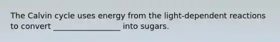 The Calvin cycle uses energy from the light-dependent reactions to convert _________________ into sugars.