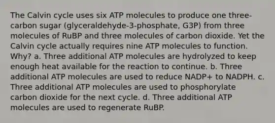 The Calvin cycle uses six ATP molecules to produce one three-carbon sugar (glyceraldehyde-3-phosphate, G3P) from three molecules of RuBP and three molecules of carbon dioxide. Yet the Calvin cycle actually requires nine ATP molecules to function. Why? a. Three additional ATP molecules are hydrolyzed to keep enough heat available for the reaction to continue. b. Three additional ATP molecules are used to reduce NADP+ to NADPH. c. Three additional ATP molecules are used to phosphorylate carbon dioxide for the next cycle. d. Three additional ATP molecules are used to regenerate RuBP.