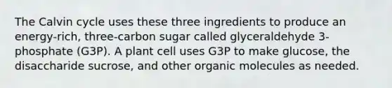 The Calvin cycle uses these three ingredients to produce an energy-rich, three-carbon sugar called glyceraldehyde 3-phosphate (G3P). A plant cell uses G3P to make glucose, the disaccharide sucrose, and other organic molecules as needed.