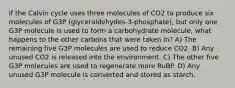 If the Calvin cycle uses three molecules of CO2 to produce six molecules of G3P (glyceraldehydes-3-phosphate), but only one G3P molecule is used to form a carbohydrate molecule, what happens to the other carbons that were taken in? A) The remaining five G3P molecules are used to reduce CO2. B) Any unused CO2 is released into the environment. C) The other five G3P molecules are used to regenerate more RuBP. D) Any unused G3P molecule is converted and stored as starch.