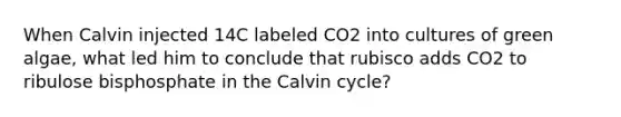 When Calvin injected 14C labeled CO2 into cultures of green algae, what led him to conclude that rubisco adds CO2 to ribulose bisphosphate in the Calvin cycle?