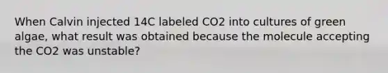 When Calvin injected 14C labeled CO2 into cultures of green algae, what result was obtained because the molecule accepting the CO2 was unstable?