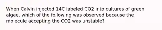 When Calvin injected 14C labeled CO2 into cultures of green algae, which of the following was observed because the molecule accepting the CO2 was unstable?