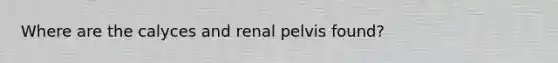 Where are the calyces and renal pelvis found?