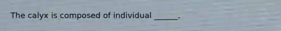 The calyx is composed of individual ______.