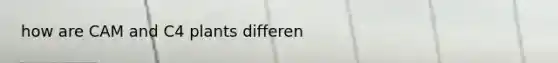 how are CAM and C4 plants differen