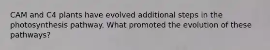 CAM and C4 plants have evolved additional steps in the photosynthesis pathway. What promoted the evolution of these pathways?