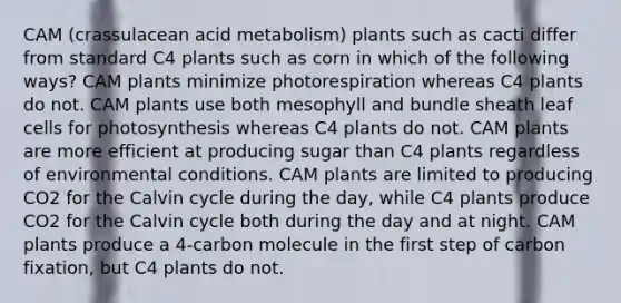 CAM (crassulacean acid metabolism) plants such as cacti differ from standard C4 plants such as corn in which of the following ways? CAM plants minimize photorespiration whereas C4 plants do not. CAM plants use both mesophyll and bundle sheath leaf cells for photosynthesis whereas C4 plants do not. CAM plants are more efficient at producing sugar than C4 plants regardless of environmental conditions. CAM plants are limited to producing CO2 for the Calvin cycle during the day, while C4 plants produce CO2 for the Calvin cycle both during the day and at night. CAM plants produce a 4-carbon molecule in the first step of carbon fixation, but C4 plants do not.