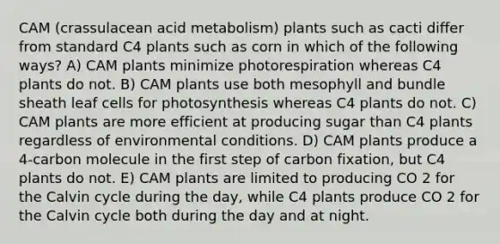 CAM (crassulacean acid metabolism) plants such as cacti differ from standard C4 plants such as corn in which of the following ways? A) CAM plants minimize photorespiration whereas C4 plants do not. B) CAM plants use both mesophyll and bundle sheath leaf cells for photosynthesis whereas C4 plants do not. C) CAM plants are more efficient at producing sugar than C4 plants regardless of environmental conditions. D) CAM plants produce a 4-carbon molecule in the first step of carbon fixation, but C4 plants do not. E) CAM plants are limited to producing CO 2 for the Calvin cycle during the day, while C4 plants produce CO 2 for the Calvin cycle both during the day and at night.