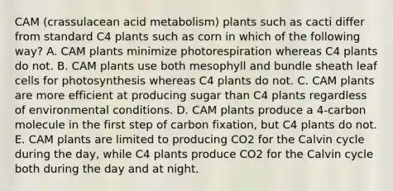 CAM (crassulacean acid metabolism) plants such as cacti differ from standard C4 plants such as corn in which of the following way? A. CAM plants minimize photorespiration whereas C4 plants do not. B. CAM plants use both mesophyll and bundle sheath leaf cells for photosynthesis whereas C4 plants do not. C. CAM plants are more efficient at producing sugar than C4 plants regardless of environmental conditions. D. CAM plants produce a 4-carbon molecule in the first step of carbon fixation, but C4 plants do not. E. CAM plants are limited to producing CO2 for the Calvin cycle during the day, while C4 plants produce CO2 for the Calvin cycle both during the day and at night.