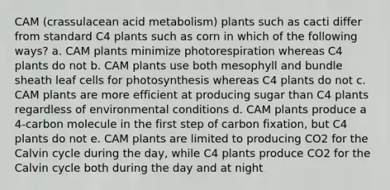 CAM (crassulacean acid metabolism) plants such as cacti differ from standard C4 plants such as corn in which of the following ways? a. CAM plants minimize photorespiration whereas C4 plants do not b. CAM plants use both mesophyll and bundle sheath leaf cells for photosynthesis whereas C4 plants do not c. CAM plants are more efficient at producing sugar than C4 plants regardless of environmental conditions d. CAM plants produce a 4-carbon molecule in the first step of carbon fixation, but C4 plants do not e. CAM plants are limited to producing CO2 for the Calvin cycle during the day, while C4 plants produce CO2 for the Calvin cycle both during the day and at night