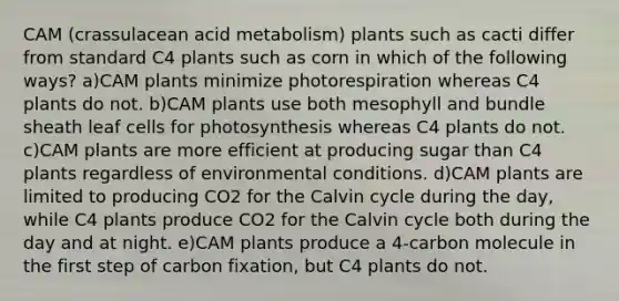 CAM (crassulacean acid metabolism) plants such as cacti differ from standard C4 plants such as corn in which of the following ways? a)CAM plants minimize photorespiration whereas C4 plants do not. b)CAM plants use both mesophyll and bundle sheath leaf cells for photosynthesis whereas C4 plants do not. c)CAM plants are more efficient at producing sugar than C4 plants regardless of environmental conditions. d)CAM plants are limited to producing CO2 for the Calvin cycle during the day, while C4 plants produce CO2 for the Calvin cycle both during the day and at night. e)CAM plants produce a 4-carbon molecule in the first step of carbon fixation, but C4 plants do not.