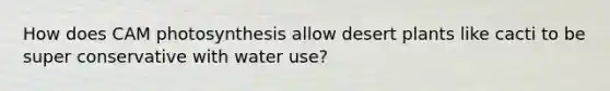 How does CAM photosynthesis allow desert plants like cacti to be super conservative with water use?