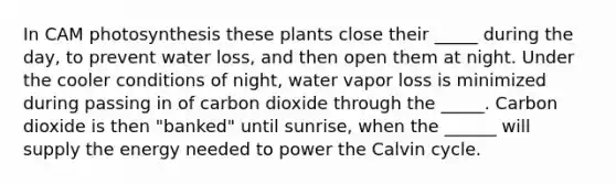 In CAM photosynthesis these plants close their _____ during the day, to prevent water loss, and then open them at night. Under the cooler conditions of night, water vapor loss is minimized during passing in of carbon dioxide through the _____. Carbon dioxide is then "banked" until sunrise, when the ______ will supply the energy needed to power the Calvin cycle.