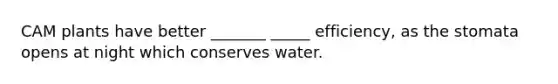 CAM plants have better _______ _____ efficiency, as the stomata opens at night which conserves water.