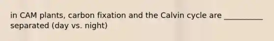 in CAM plants, carbon fixation and the Calvin cycle are __________ separated (day vs. night)