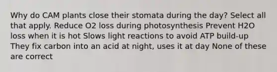 Why do CAM plants close their stomata during the day? Select all that apply. Reduce O2 loss during photosynthesis Prevent H2O loss when it is hot Slows <a href='https://www.questionai.com/knowledge/kSUoWrrvoC-light-reactions' class='anchor-knowledge'>light reactions</a> to avoid ATP build-up They fix carbon into an acid at night, uses it at day None of these are correct