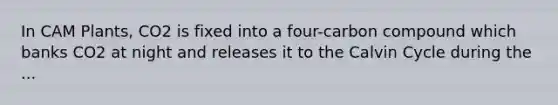 In CAM Plants, CO2 is fixed into a four-carbon compound which banks CO2 at night and releases it to the Calvin Cycle during the ...