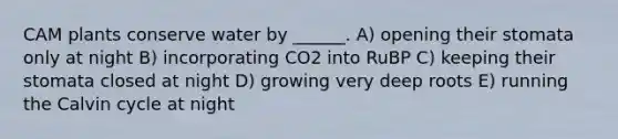 CAM plants conserve water by ______. A) opening their stomata only at night B) incorporating CO2 into RuBP C) keeping their stomata closed at night D) growing very deep roots E) running the Calvin cycle at night