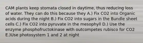 CAM plants keep stomata closed in daytime, thus reducing loss of water. They can do this because they A.) Fix CO2 into Organic acids during the night B.) Fix CO2 into sugars in the Bundle sheet cells C.) Fix CO2 into pyruvate in the mesophyll D.) Use the enzyme phosphofructokinase with outcompetes rubisco for CO2 E.)Use photosystem 1 and 2 at night