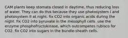 CAM plants keep stomata closed in daytime, thus reducing loss of water. They can do this because they use photosystem I and photosystem II at night. fix CO2 into organic acids during the night. fix CO2 into pyruvate in the mesophyll cells. use the enzyme phosphofructokinase, which outcompetes rubisco for CO2. fix CO2 into sugars in the bundle-sheath cells.