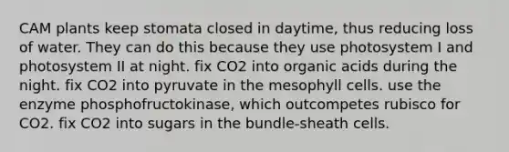 CAM plants keep stomata closed in daytime, thus reducing loss of water. They can do this because they use photosystem I and photosystem II at night. fix CO2 into organic acids during the night. fix CO2 into pyruvate in the mesophyll cells. use the enzyme phosphofructokinase, which outcompetes rubisco for CO2. fix CO2 into sugars in the bundle-sheath cells.