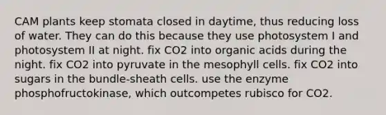 CAM plants keep stomata closed in daytime, thus reducing loss of water. They can do this because they use photosystem I and photosystem II at night. fix CO2 into organic acids during the night. fix CO2 into pyruvate in the mesophyll cells. fix CO2 into sugars in the bundle-sheath cells. use the enzyme phosphofructokinase, which outcompetes rubisco for CO2.