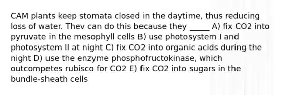 CAM plants keep stomata closed in the daytime, thus reducing loss of water. Thev can do this because they _____ A) fix CO2 into pyruvate in the mesophyll cells B) use photosystem I and photosystem II at night C) fix CO2 into organic acids during the night D) use the enzyme phosphofructokinase, which outcompetes rubisco for CO2 E) fix CO2 into sugars in the bundle-sheath cells