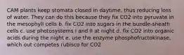 CAM plants keep stomata closed in daytime, thus reducing loss of water. They can do this because they fix CO2 into pyruvate in the mesophyll cells b. fix CO2 into sugars in the bundle-sheath cells c. use photosystems I and II at night d. fix CO2 into organic acids during the night e. use the enzyme phosphofructokinase, which out competes rubisco for CO2