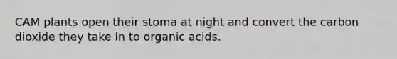 CAM plants open their stoma at night and convert the carbon dioxide they take in to organic acids.