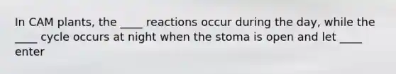 In CAM plants, the ____ reactions occur during the day, while the ____ cycle occurs at night when the stoma is open and let ____ enter