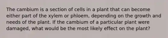 The cambium is a section of cells in a plant that can become either part of the xylem or phloem, depending on the growth and needs of the plant. If the cambium of a particular plant were damaged, what would be the most likely effect on the plant?