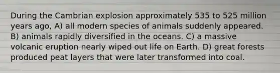 During the Cambrian explosion approximately 535 to 525 million years ago, A) all modern species of animals suddenly appeared. B) animals rapidly diversified in the oceans. C) a massive volcanic eruption nearly wiped out life on Earth. D) great forests produced peat layers that were later transformed into coal.